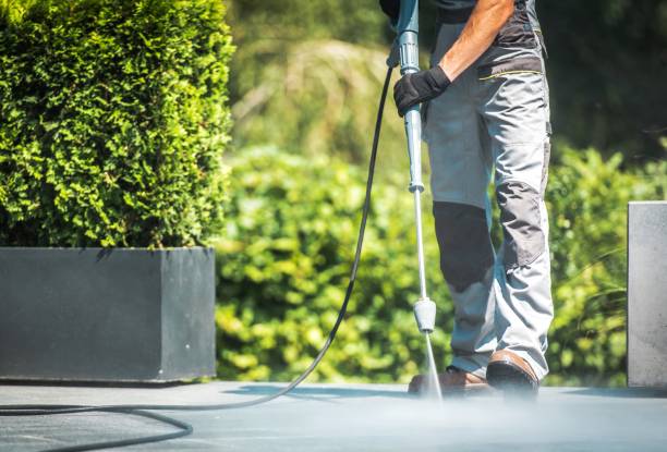 Best Solar Panel Cleaning  in Lady Lake, FL